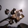 pic (2)